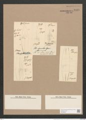 Pleurosigma nicobaricum Grun. (de-Toni-Nr.: Genus 13, Species 1021) Zeichnungen Sammlung Grunow Nr. 2083 (NHMW-BOT-W0368950)